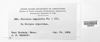 Image Associated With the Occurence